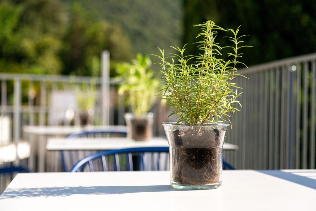 Vistalago Torbole Torbole Sul Garda Eksteriør billede